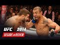 UFC Decade in Review - 2014