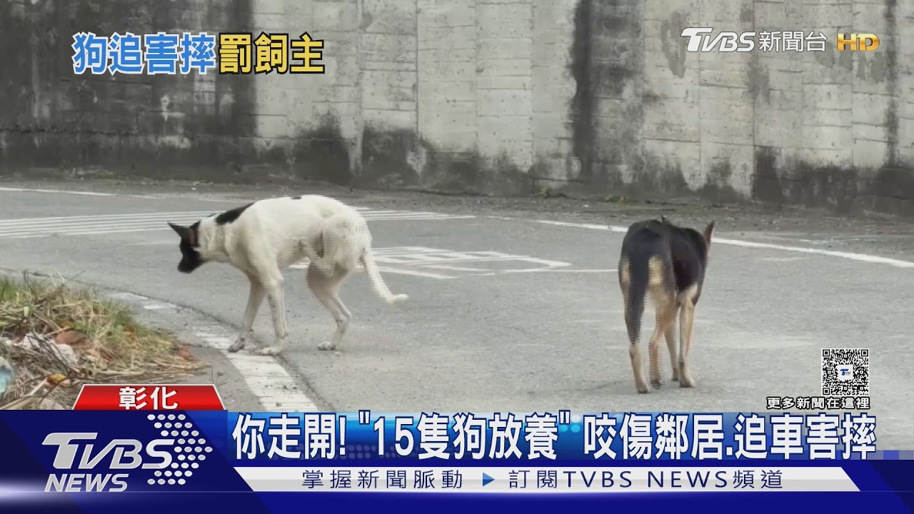 你走開! 「15隻狗放養」 咬傷鄰居.追車害摔｜TVBS新聞 @TVBSNEWS02