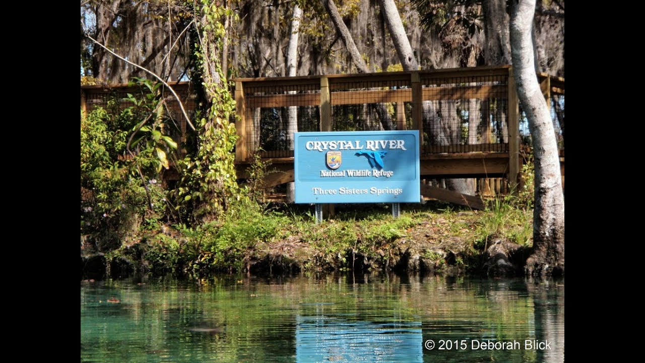 Crystal River rental, Great place to stay YouTube