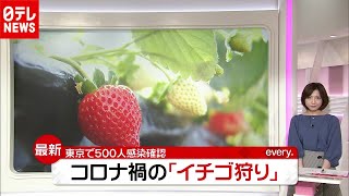 「新型コロナ」でイチゴ狩りも“オンライン” 密防ぐユニークな取り組み（2020年12月2日放送「news every.」より）