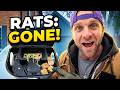 Perimeter Bait Station Rebait – Exterior Rat Service (Hamilton)