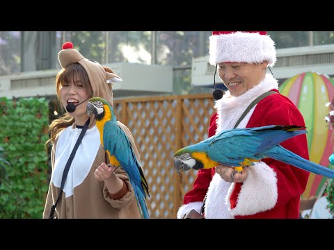 【ラスト1点】小鳥たちのいない花園/ダイヤモンドの月DVD⭐匿名配送 Amazon.co.jp: 小鳥たちのいない花園/ダイヤモンドの月D V D