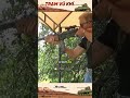 Volkssturmgewehr: Sự thật trần trụi về 'vũ khí tuyệt vọng' cuối cùng của quân đội Đức !