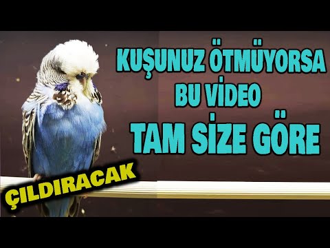 ÖTME GARANTİLİ Muhabbet