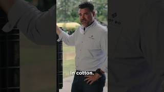 Getting the Most Out of New Dry for Cotton