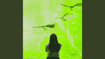 Background for Fresh Vibes