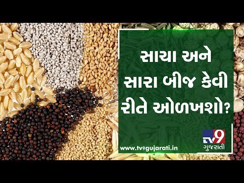 See how to select best seeds for farming | Tv9Dhartiputra