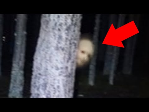 5-scary-things-caught-on-camera-in-the-woods
