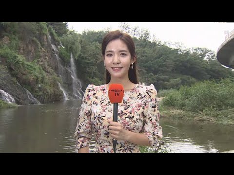 [날씨] 전국 33도 안팎 더위…오후까지 중부 소나기 / 연합뉴스TV (YonhapnewsTV)