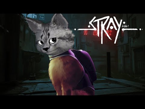 Ben Kayıp Bir Kediyim (çok üzücü) | STRAY | BÖLÜM 1