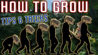 Best Way To Grow A Stegosaurus In The Isle Evrima | Tips & Tricks In Update 4.5 | Dinosaurs