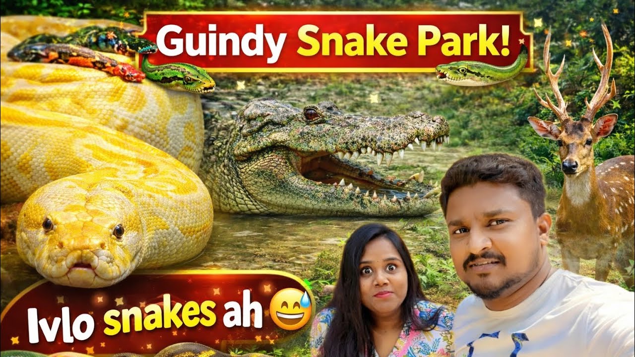 Guindy Snake Park Chennai 😮 | Snake, Crocodile, Deer Ellam Iruku! | Vlog