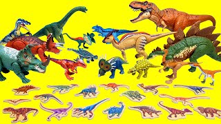 쥬라기월드 판퍼즐 공룡 찾기 티렉스 스테고사우루스 트리케라톱스 딜로포사우루스 Find the same dinosaurs
