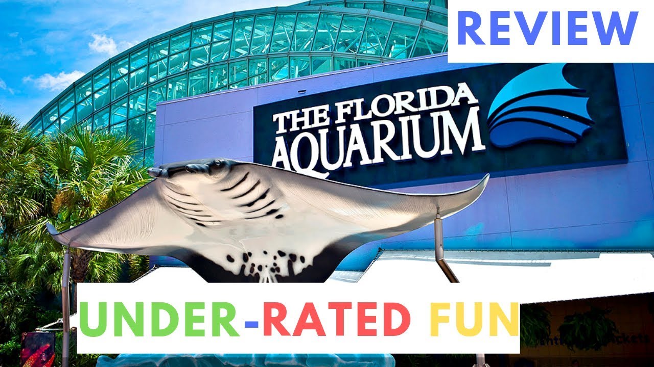 tampa aquarium virtual tour