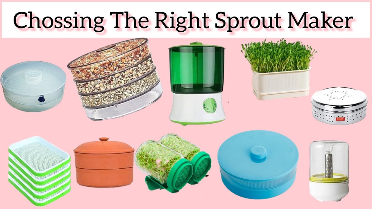Sprout Make Sprout Maker for Multi Purpose Use / chossing The Right Sprout Maker ...