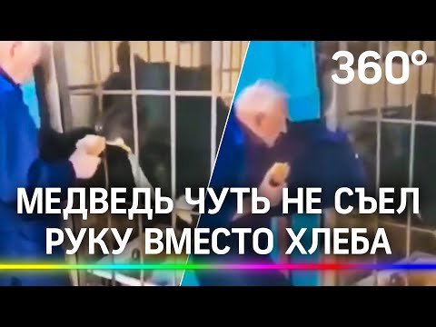 Шок-кадры: медведь чуть не разорвал деда в Благовещенске. Его спасла китайская куртка