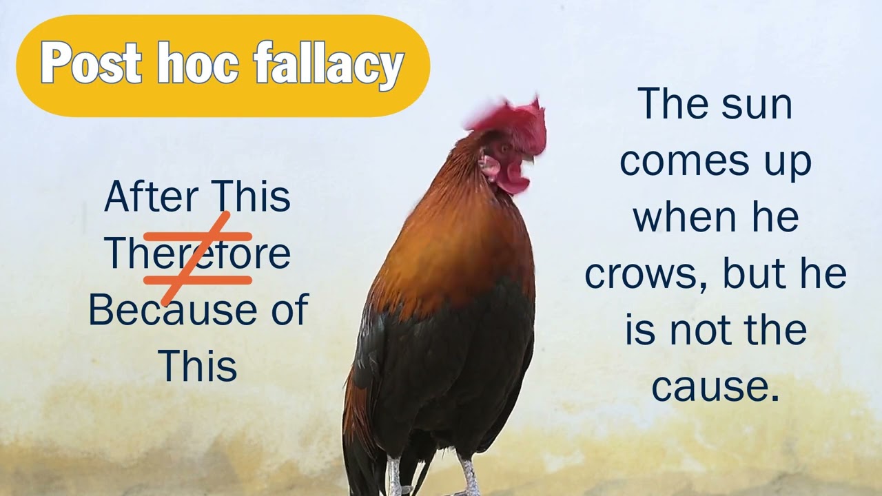 Cause & Effect Analysis with Fallacies