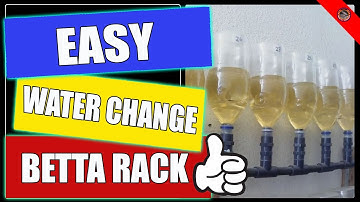 Easy water change Betta rack | Soda Bottle