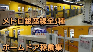 【1路線に5種類⁉】東京メトロ銀座線ホームドア稼働集