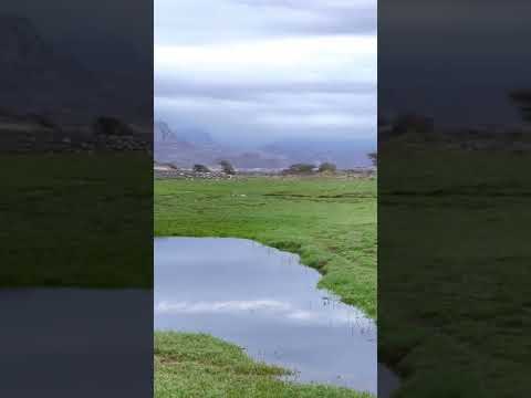 لو نرجع بل الايام