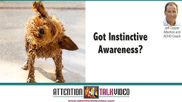 ADHD and Instincts: ADHD Productivity and Instinctive Behaviors