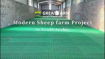 Saudi Sheep Farm Construction Project