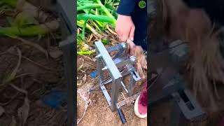 🧄 பூண்டு மற்றும் வெங்காயம் வெட்ட சூப்பர் கருவி ✨ #manualtools #farmingtools #garlicfarming #shorts