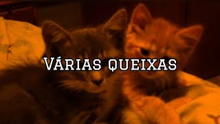 Várias Queixas - Gilsons (Letra)