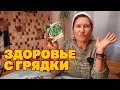 ОГОРОД ДЛЯ ЗДОРОВЬЯ СЕМЕНА ЛЕКАРСТВЕННЫХ РАСТЕНИЙ @Обо всем с Марусей