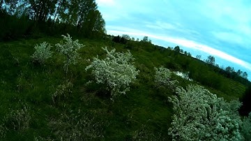 Immersion RC Vortex Pro 250