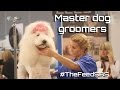 Master dog groomers Australia - The Feed