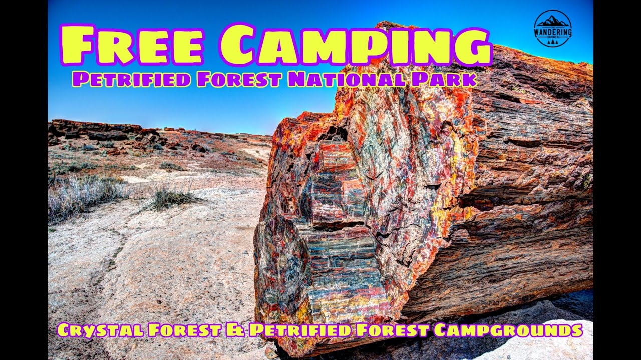 Free Camping- Petrified Forest National Park: Crystal Forest Campground