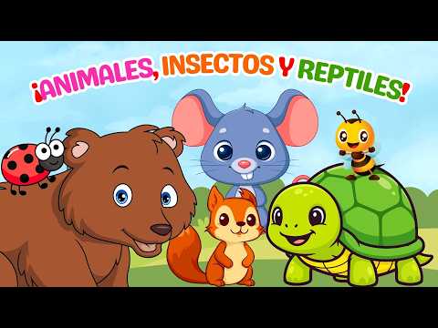 Names of Animals + Insects + Reptiles