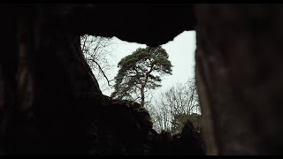 Mammal Hands – Gift from the Trees: A Short Film