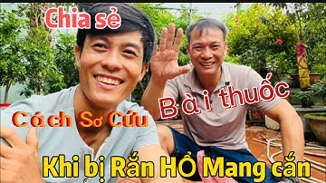 Cách Sơ Cứu Khi Bị RẮn Hổ mang Cắn || P1 #SangBinhthuan #10