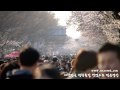 [SAMSUNG NX10] 여의도 윤중로 벚꽃놀이에서 찍은 벚꽃 영상