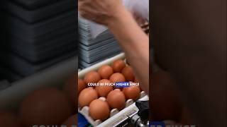 Egg Recall: Salmonella Outbreak Sickens Dozens Across U.S. #eggs #salmonella