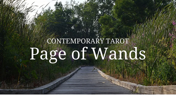 Page of Wands in 3 Minutes