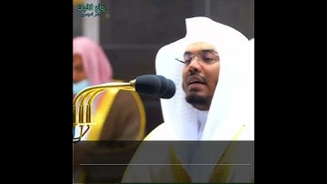 "هذِهِ جَهَنَّم"تلاوة مبكية بأعلى طبقات أ.د. ياسر الدوسري | سورة يس