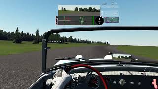 Gingerman Raceway - Austin Healey - Pedal Telemetry Hot Laps