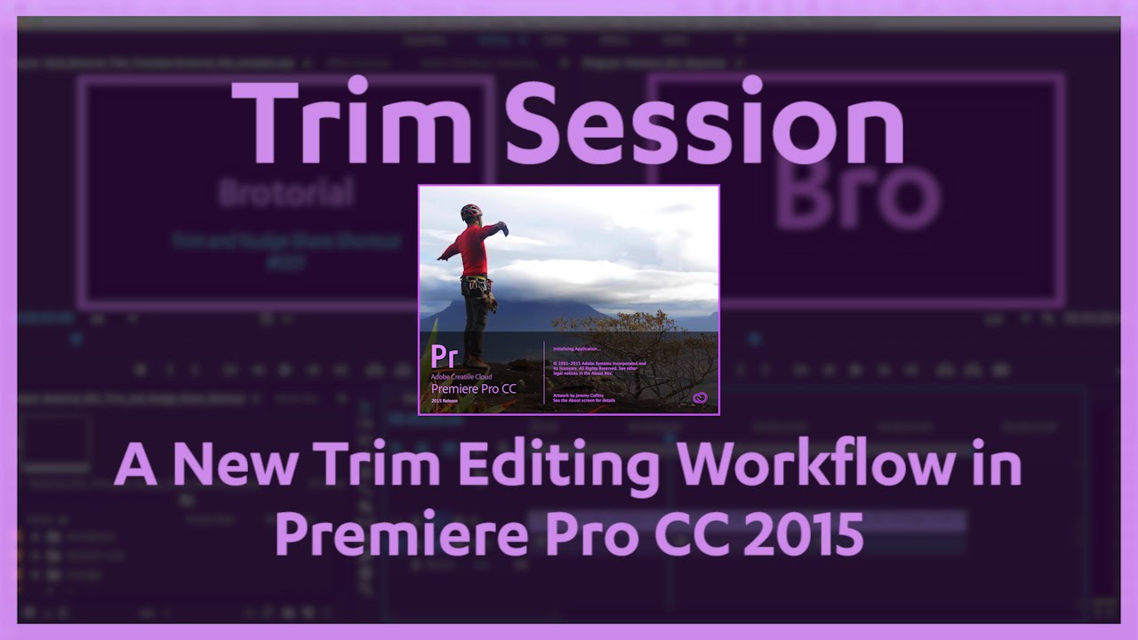 premier cc 2015 undo levels premier cc 2015 undo levels