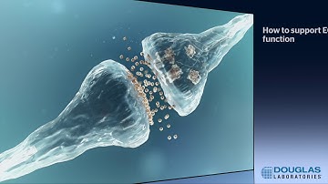 Cannabidiol and the Endocannabinoid System:  A Brief Tutorial