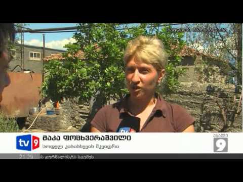 ახალი 9 | უკმაყოფილო დაზარალებ. | 22.08.12