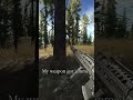 I Pushed With One Bullet ... 😭 | Tarkov #escapefromtarkov #tarkov #eft