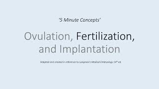Basics of Fertilization - Part 2/3 of Ovulation, Fertilization, and Implantation