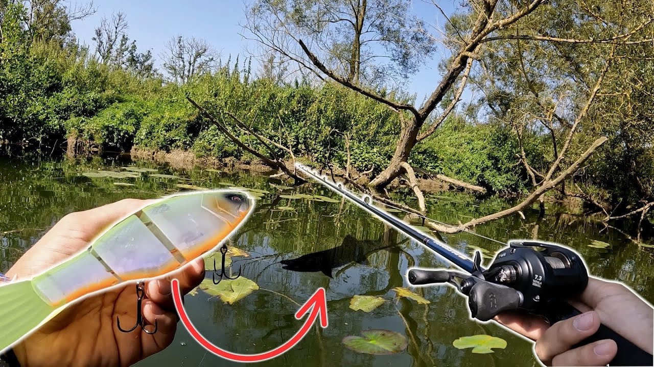 Ce GROS leurre sauve ma pêche !! (Les brochets sont fous)