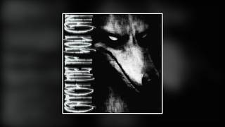 Exstazz - Catch Me If You Can