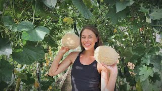 Harvesting & Catching Up On Things In My Backyard Homestead! + A Garden To Table Dinner!