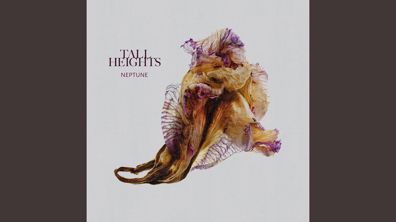 Iron in the Fire YouTube