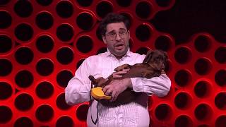 The long and the short of it life lessons from art-dog Teena David Capra TEDxSydney